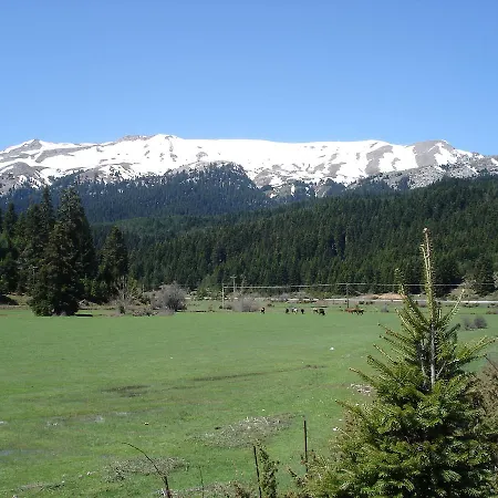 Gousiou